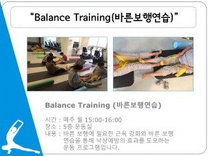 [] ǰŬ Balance training(ٸ౳) ġ